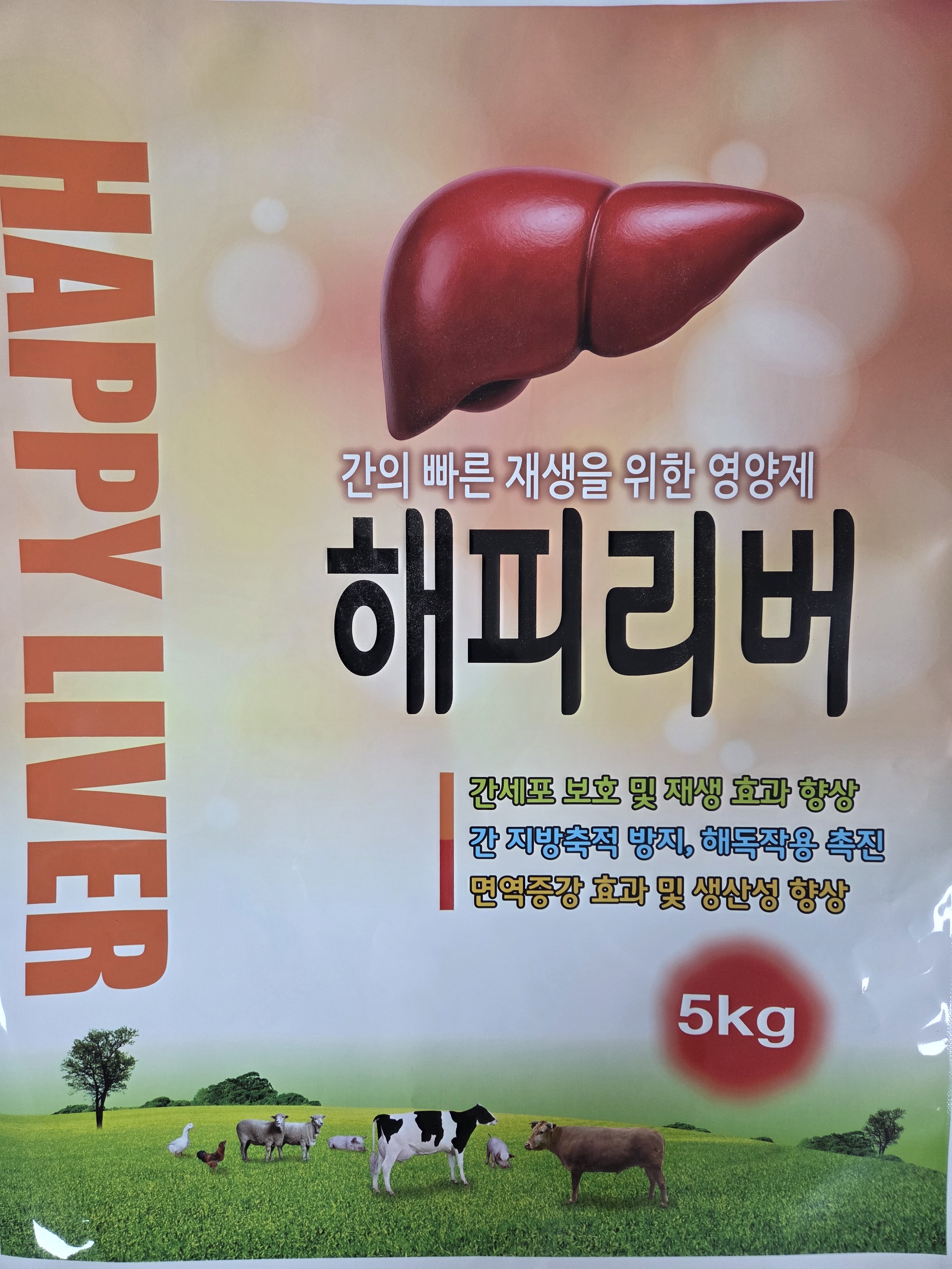 해피리버